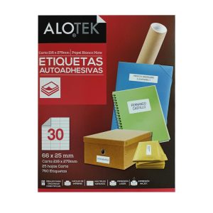 Etiqueta blanca ink-jet / laser 25 hojas 66 x 25 mm