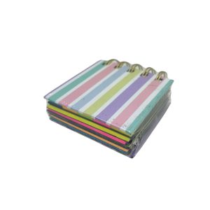 Set Notas Adhesivas 25 Hojas Pastel