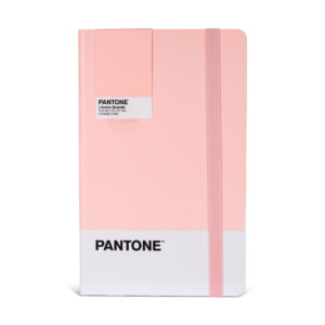 LIBRETA C-ELAST SMALL 9X14CM PANTONE SURTIDO