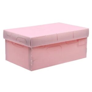 Caja Zapatos Escolar Armable Rosa